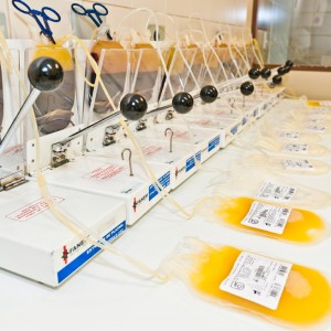 7-sangue-doado